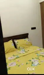 Need female friendly roommate