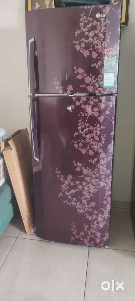 Lg big size dual door