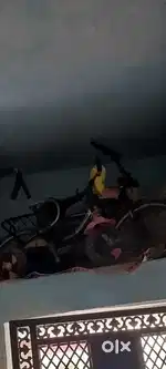 Best cycle