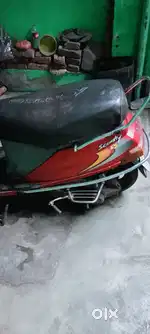 Best quality hai