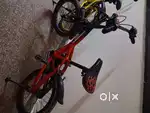 Firefox 16T Kids cycle