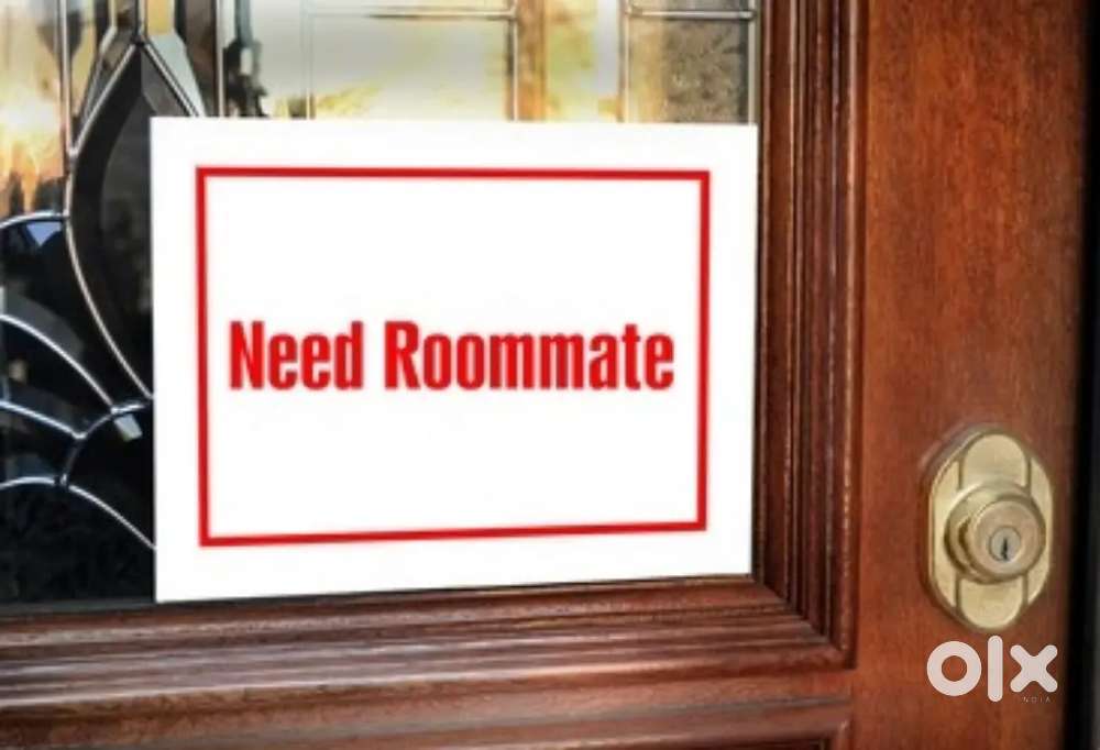 Punjabi Bagh, Bhopal – 2BHK Mein Female Flatmate Required