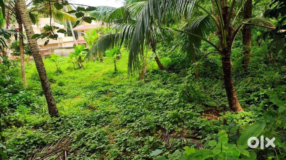 20 cent Residential Land