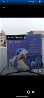 Hair steamer