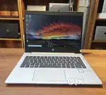 Laptop technician