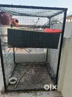 Biggest Cage