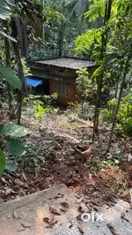 Plot with a house,coconut trees and aracenut