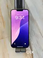 13 Pro Max