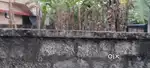 Aluva kadungalloor 7 cent orginal purayidam