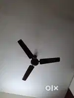 Ceiling fans