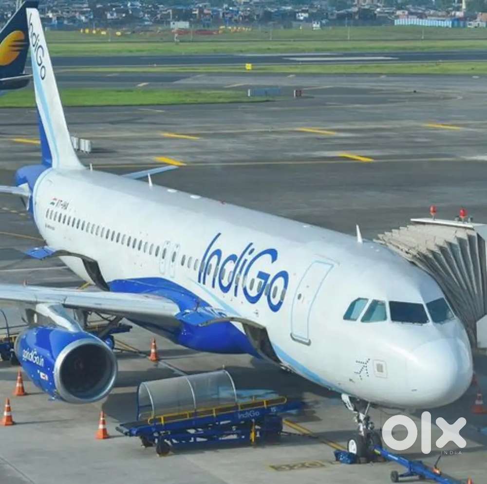 Huge hirings in aviation industry, Apply here!