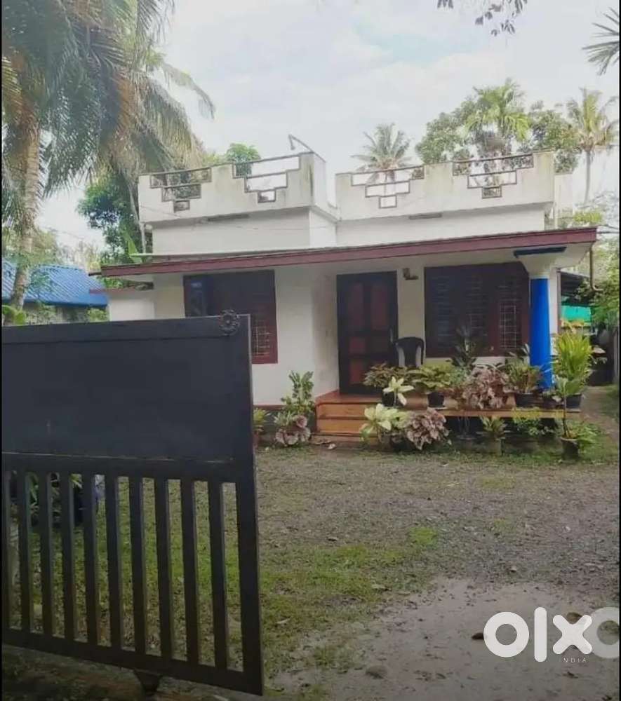 Half km from NH 17(puthenpally )