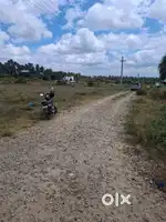Approved layout for investment