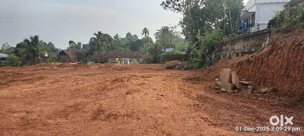 Sales&Marketing support female required for a Real estate company