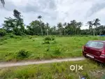 63 cent land for sale in kurathikadu, Thekkekara, Mavelikkara