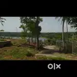 1.60 Acre plot for sale in Kalakkode, Kollam