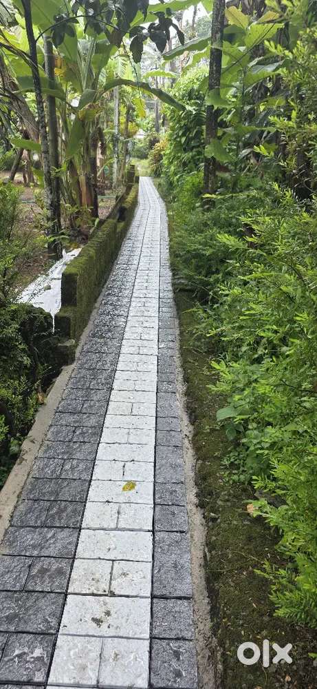 9 cent land with small house bike entering road available