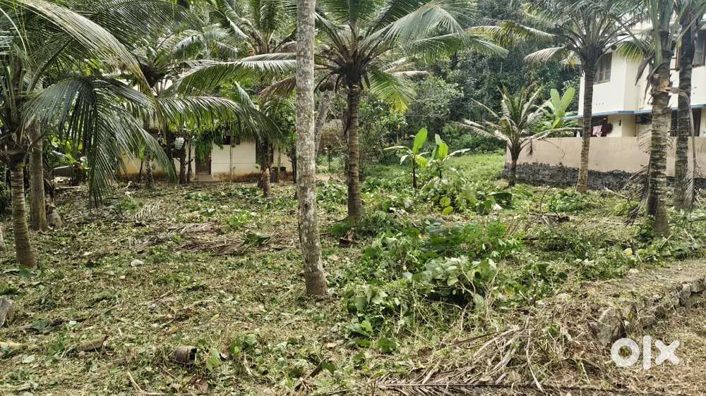 Plot for Sale in Enikkara