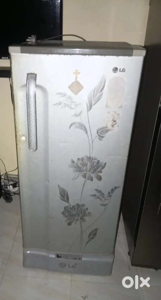 L G Fridge (old)