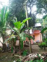 Want to sell plot with residence