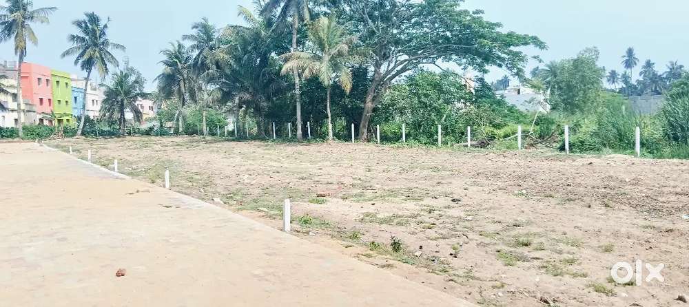 Best plot in puri