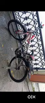 New 20 Inch cycle