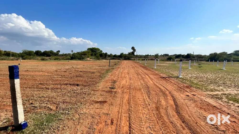 Dtcp Investment land in karaikudi managiri