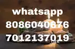 SPA,3femail tharapist vecancy