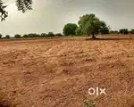 Agriculture