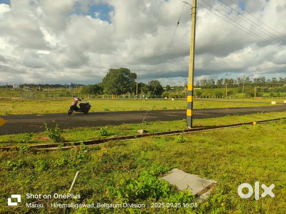 Ready for registration plots