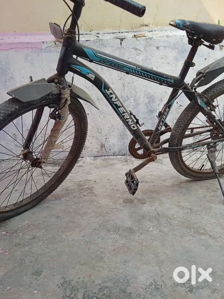 New cycle 3 months old