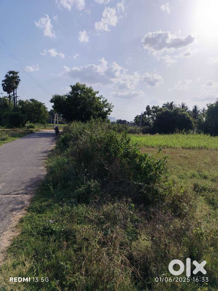 50 Cents Land for Sale in Tirupati