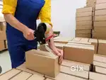 Female hiring