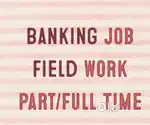 Sales Manager