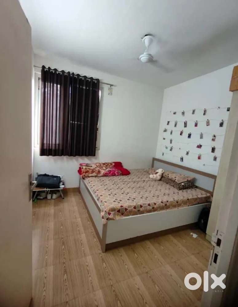 Roomate needed urgently