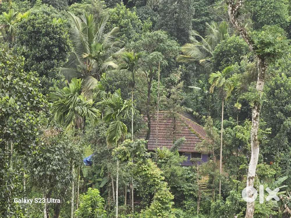 Mixed cultivation land and a home
