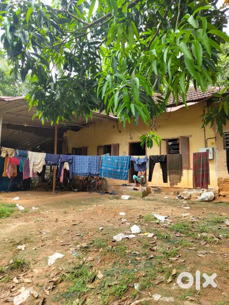 11 cent vasthu vilpanak near manvila sreekareym