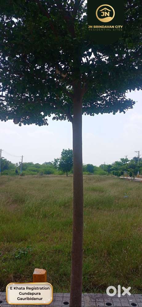 Peaceful living, Strong investment, E-KHATA site for sale