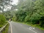 3 Acre land for sale in kodaikanal chat road.