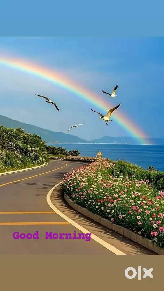 Resort Office Assistant (ഓഫീസ് സ്റ്റാഫ്‌)