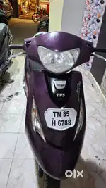 Zest Model 2018