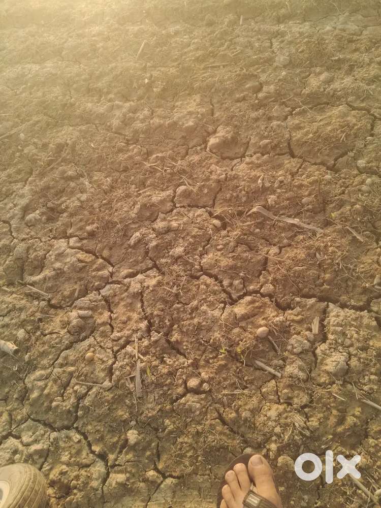 Gujjar chowk kajipur near L block shastri nagar