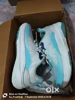 Campus original shoes