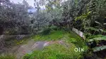 Roadside 11 cent residential plot, Alangad, Kochi