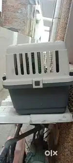 Dog s cage