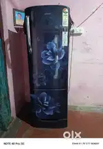 Fridge one year only
