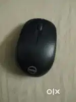 Mouse dell