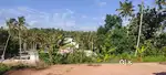 Plot for sale in Sreekaryam