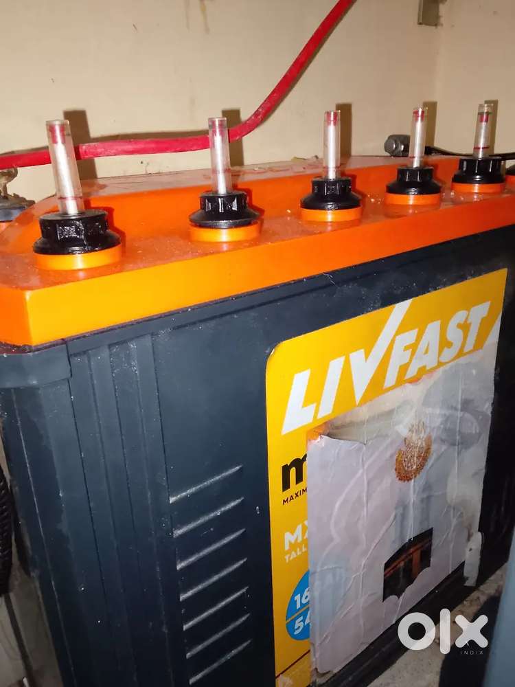 Livo fast inventor