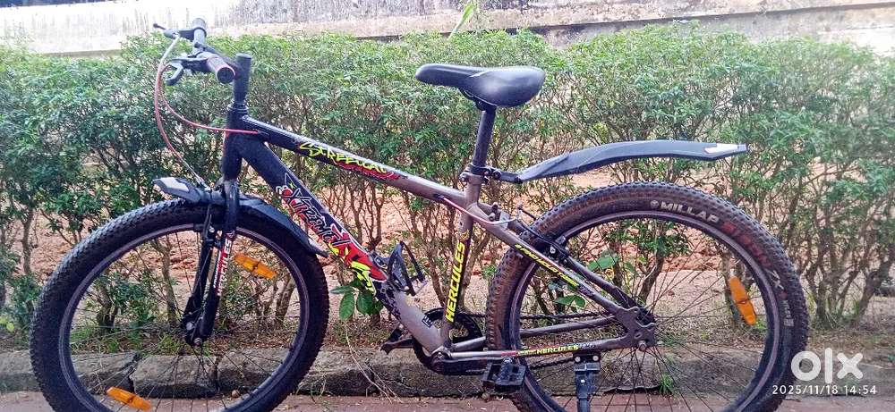 Hercules Xtreme Street cat